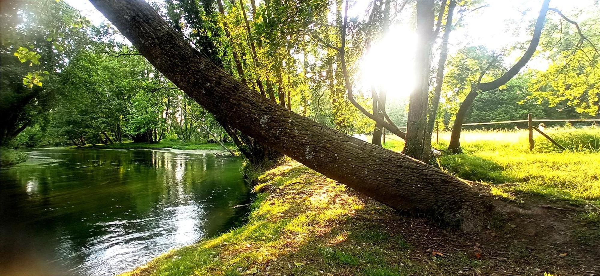 La Regina Del Bosco Villa Rivignano Eksteriør bilde