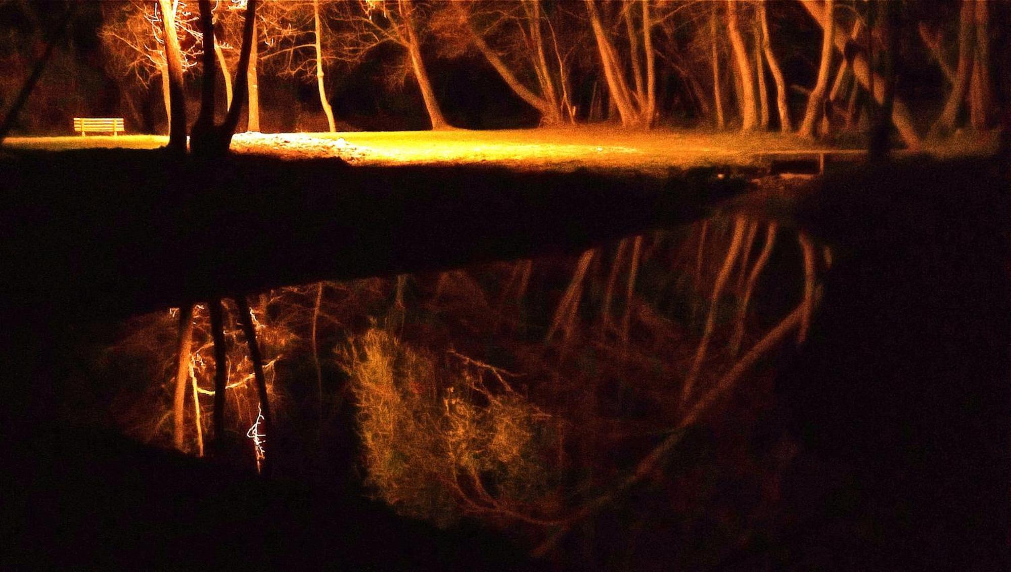 La Regina Del Bosco Villa Rivignano Eksteriør bilde